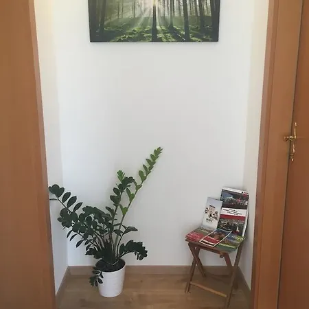 Roccos Raum Affittacamere Kapfenberg